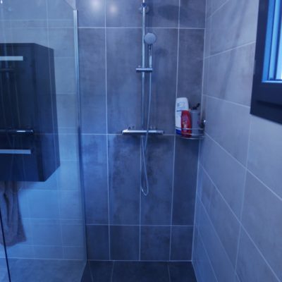 Carrelage salle de bain avec fresque pour la douche en 20x75